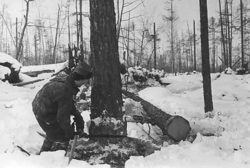 Валка
